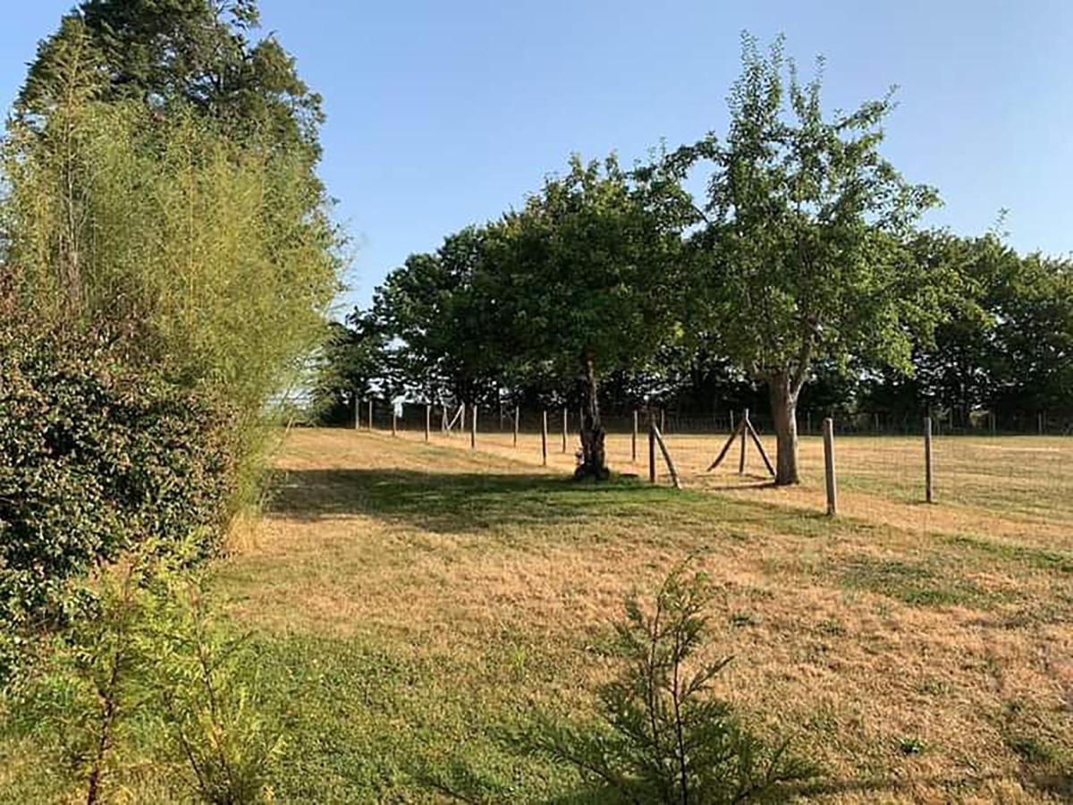 The Alpaca B&B Chalais  Екстер'єр фото