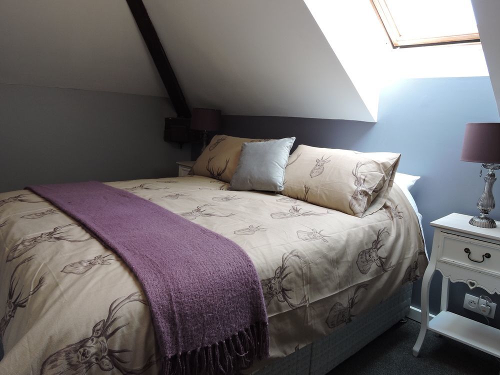 The Alpaca B&B Chalais  Екстер'єр фото